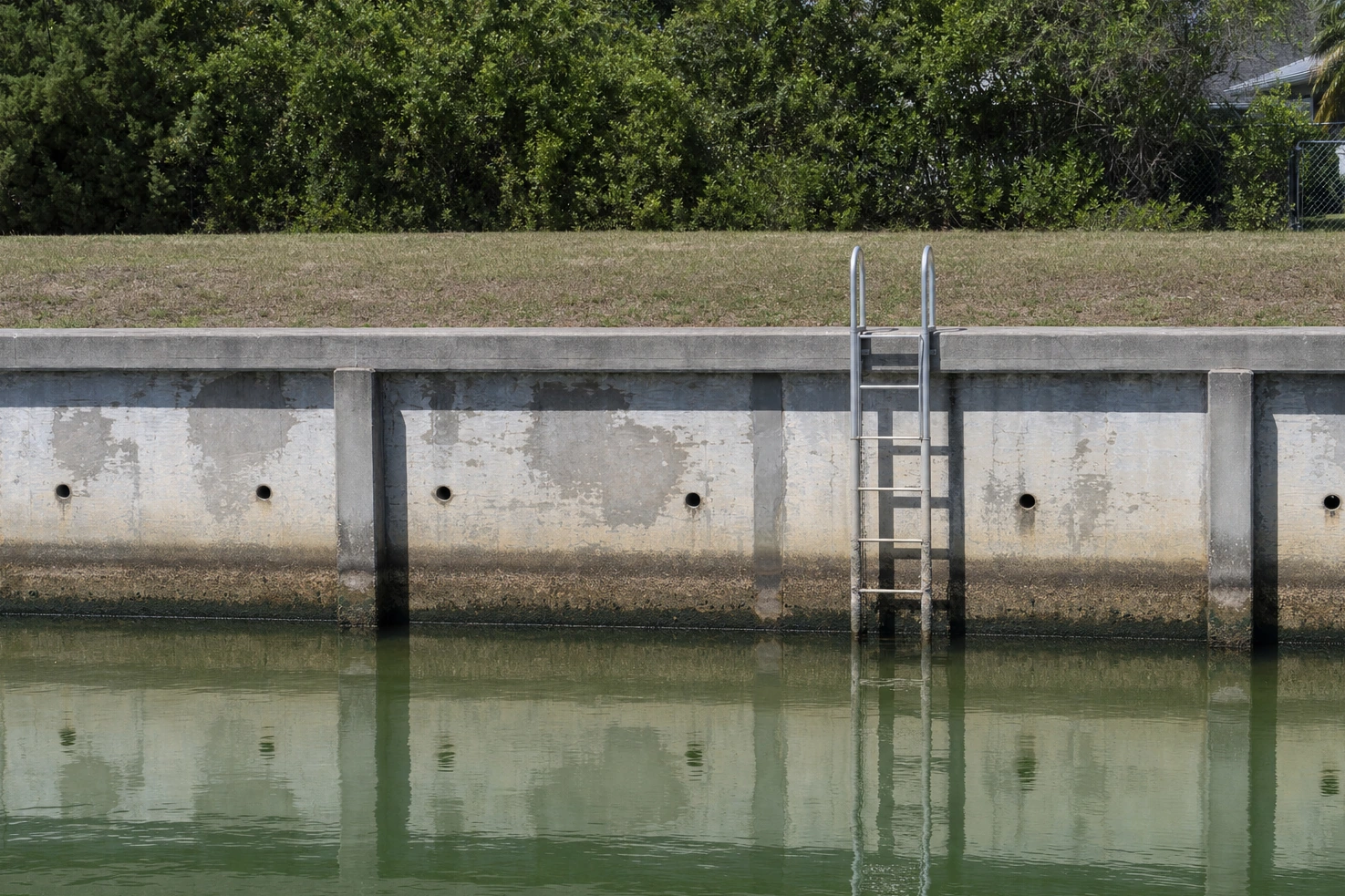 A concrete canal wall we photographed running the full width of the frame at midday, green water below it and a dock ladder set into the face.
