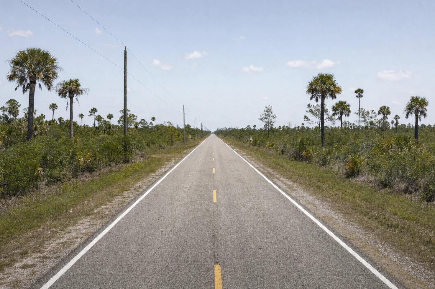 Our own picture of a two-lane road running dead straight to a flat horizon between scrub and palms at midday.