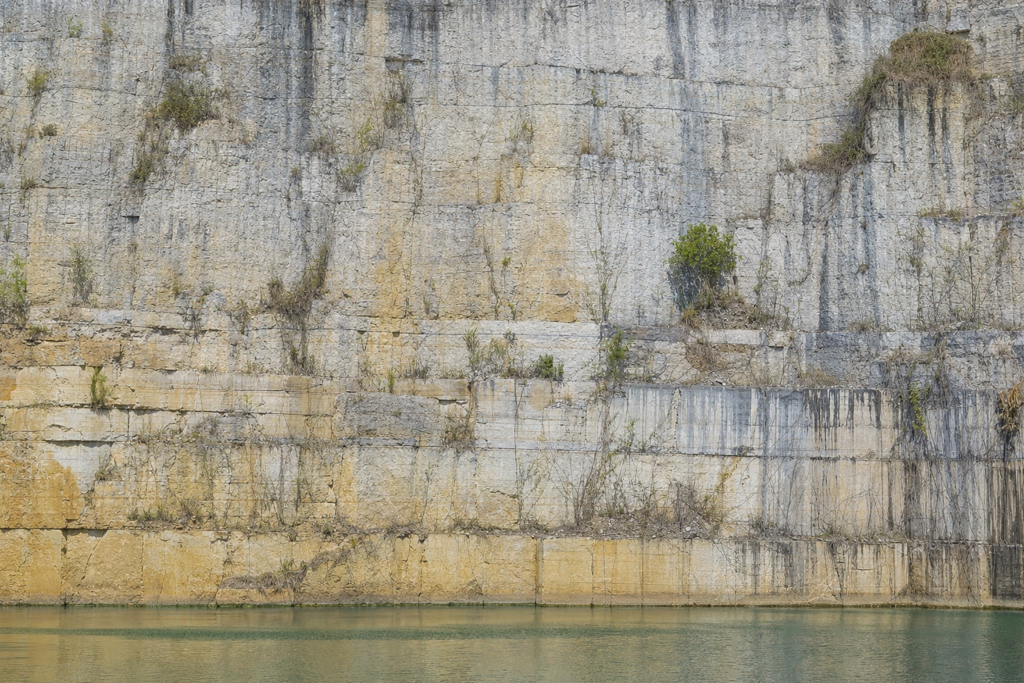 A limestone quarry face photographed by us square-on at midday, water standing at its foot.