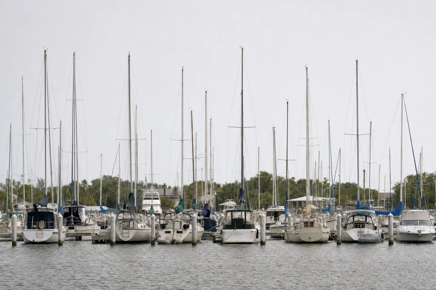 Our own picture of moored boats at a marina, taken frontally at midday, masts standing evenly across the whole frame.